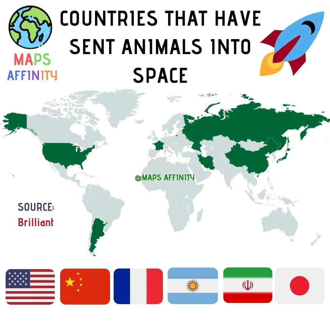 COUNTRIES THAT HAVE SEND ANIMALS IN SPACE