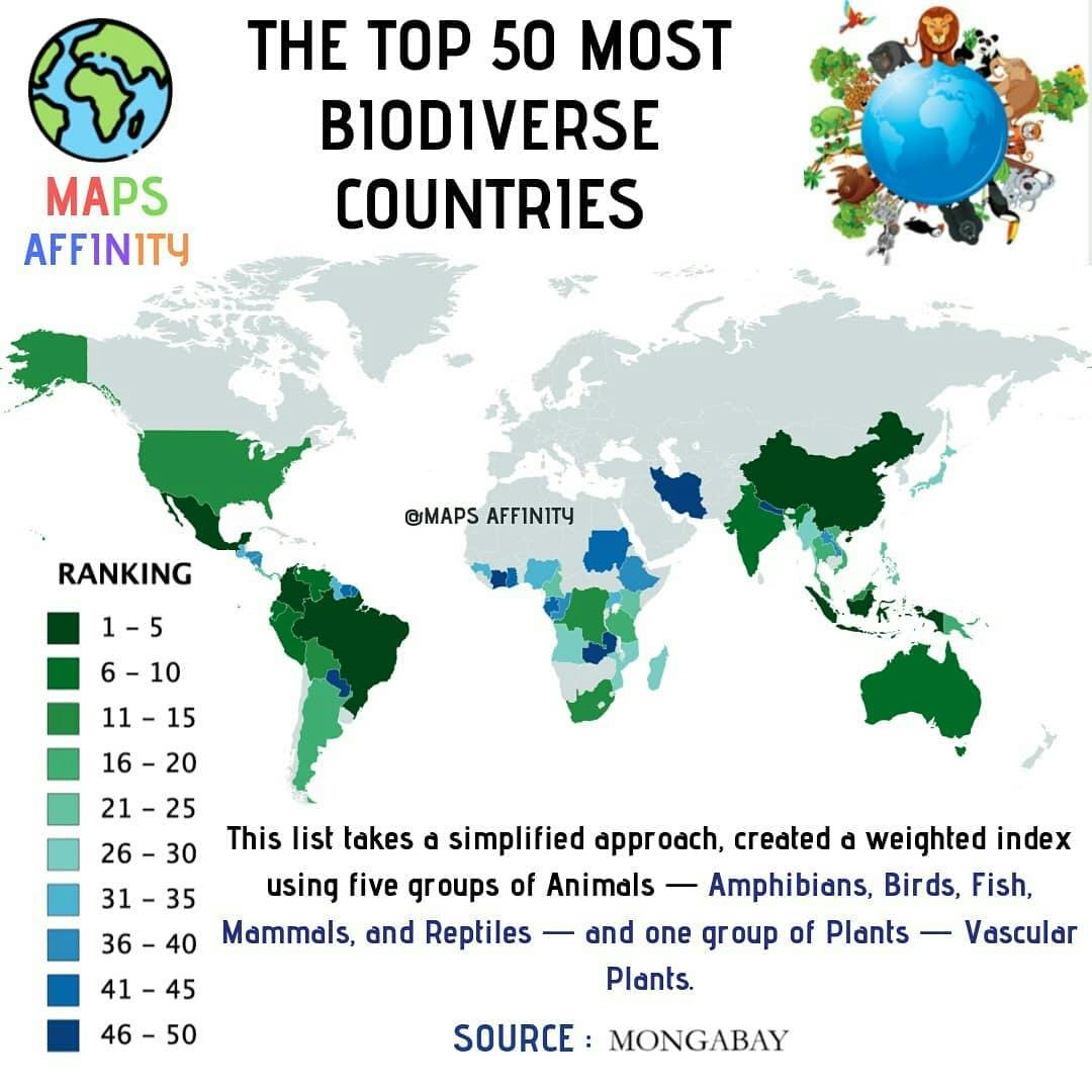 TOP 50 MOST DIVERSE COUNTRY 
