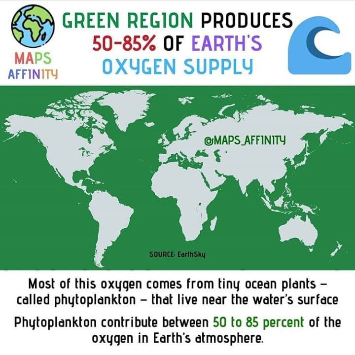 GREEN REGION PRODUCES 50-85% OF EARTH'S OXYGEN .