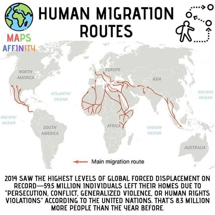 Human Migration Routes 